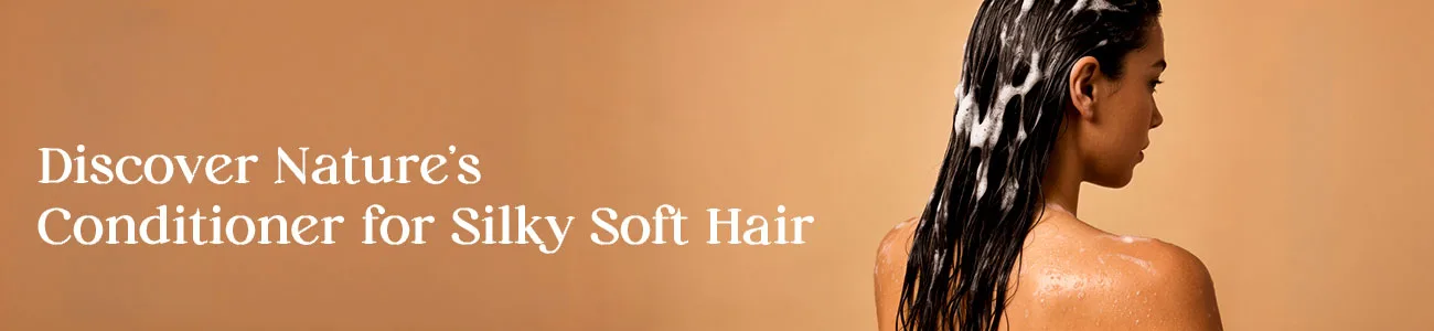 Conditioner