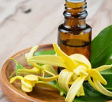 sourceImg