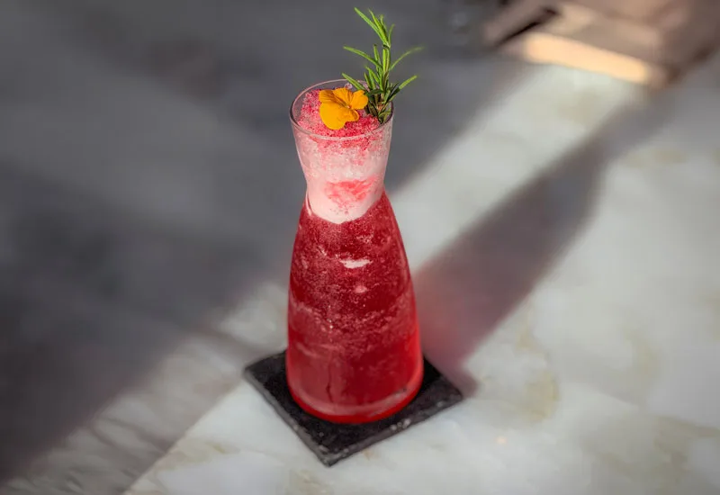 HIBISCUS NITRO-INFUSED